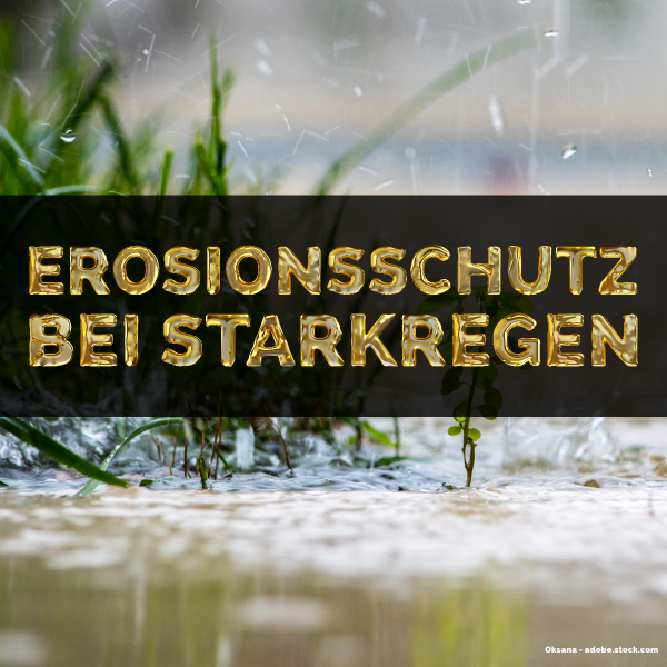 Erosionsschutz-bei-Starkregen